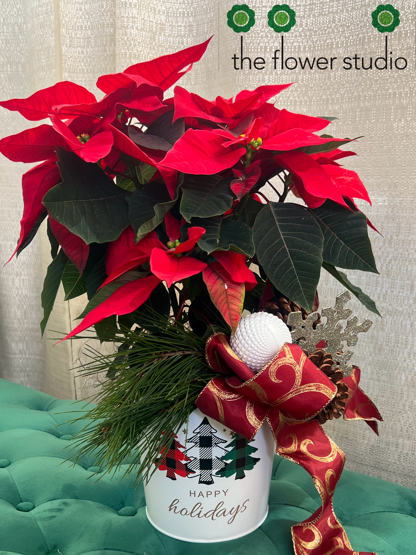 Single Red Poinsettia - Traditional