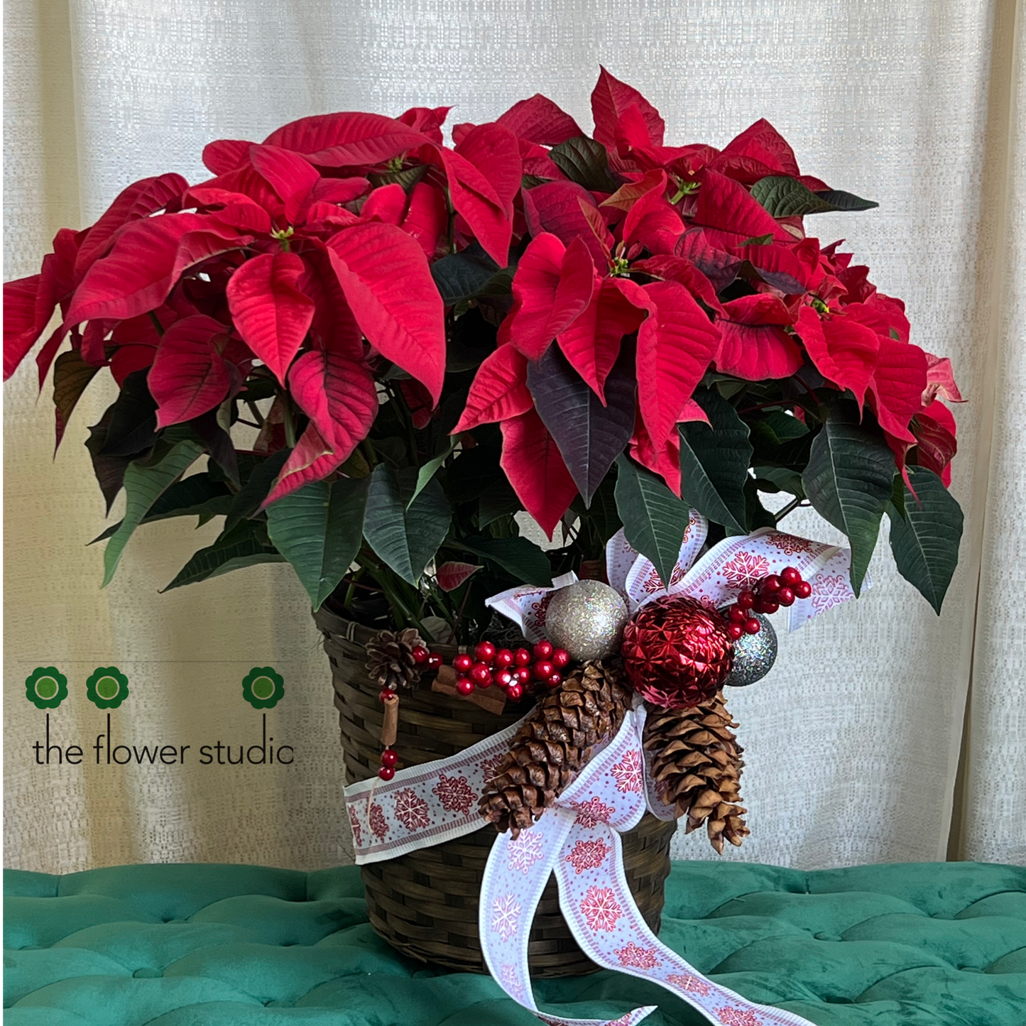 Large Red Poinsettia - Traditional