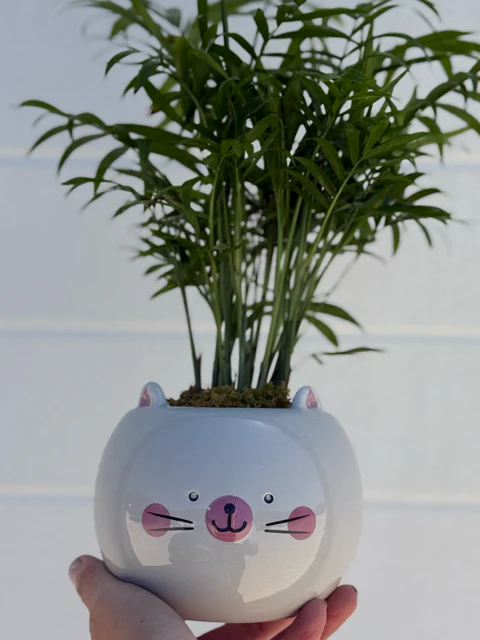 Meowgical Planter