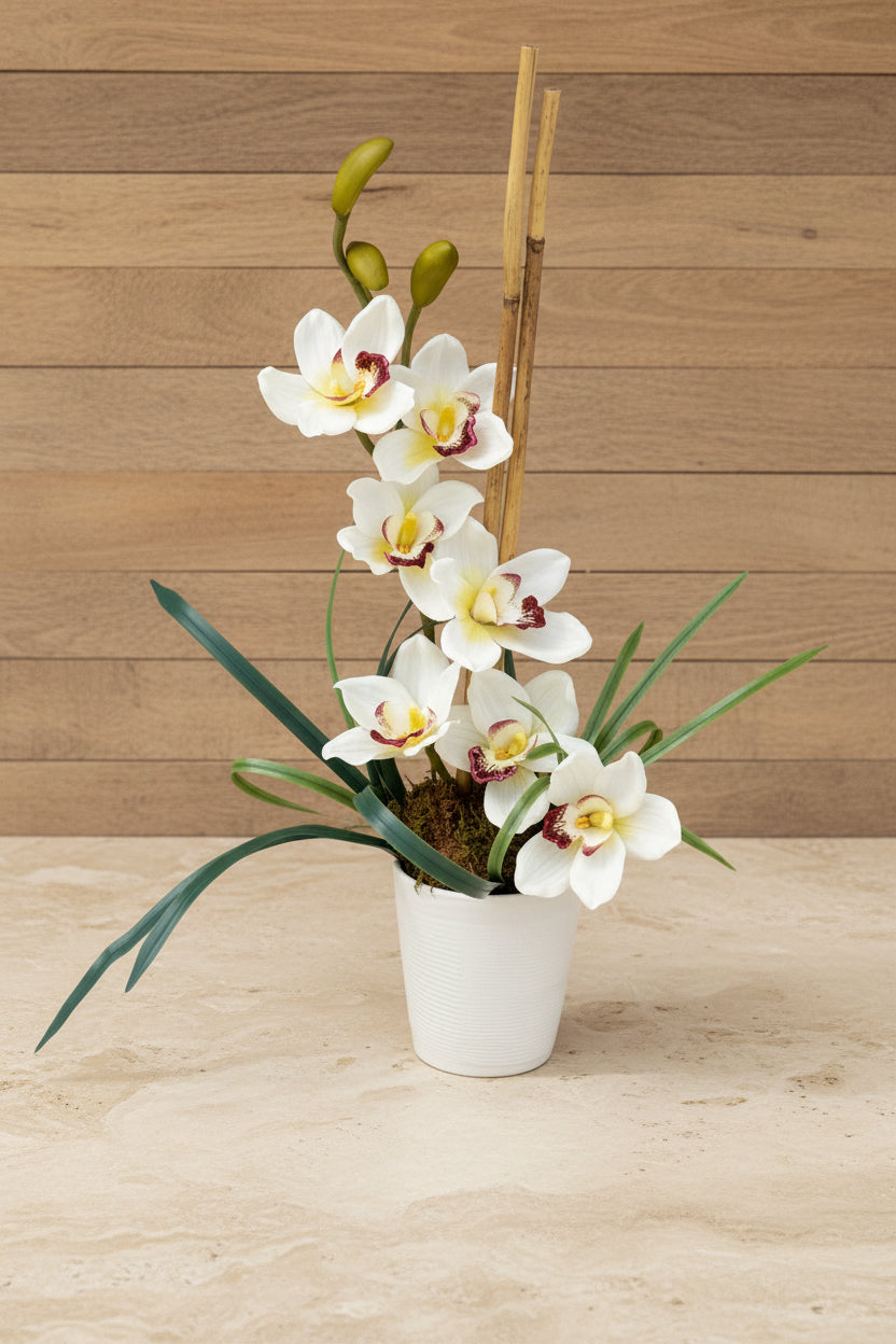 Orchid Serenity