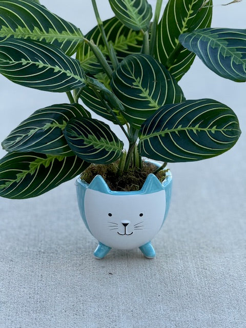 Whisker | Planter