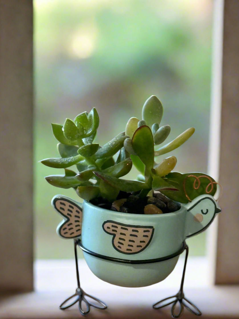 Small potted plant in a decorative bird-shaped pot