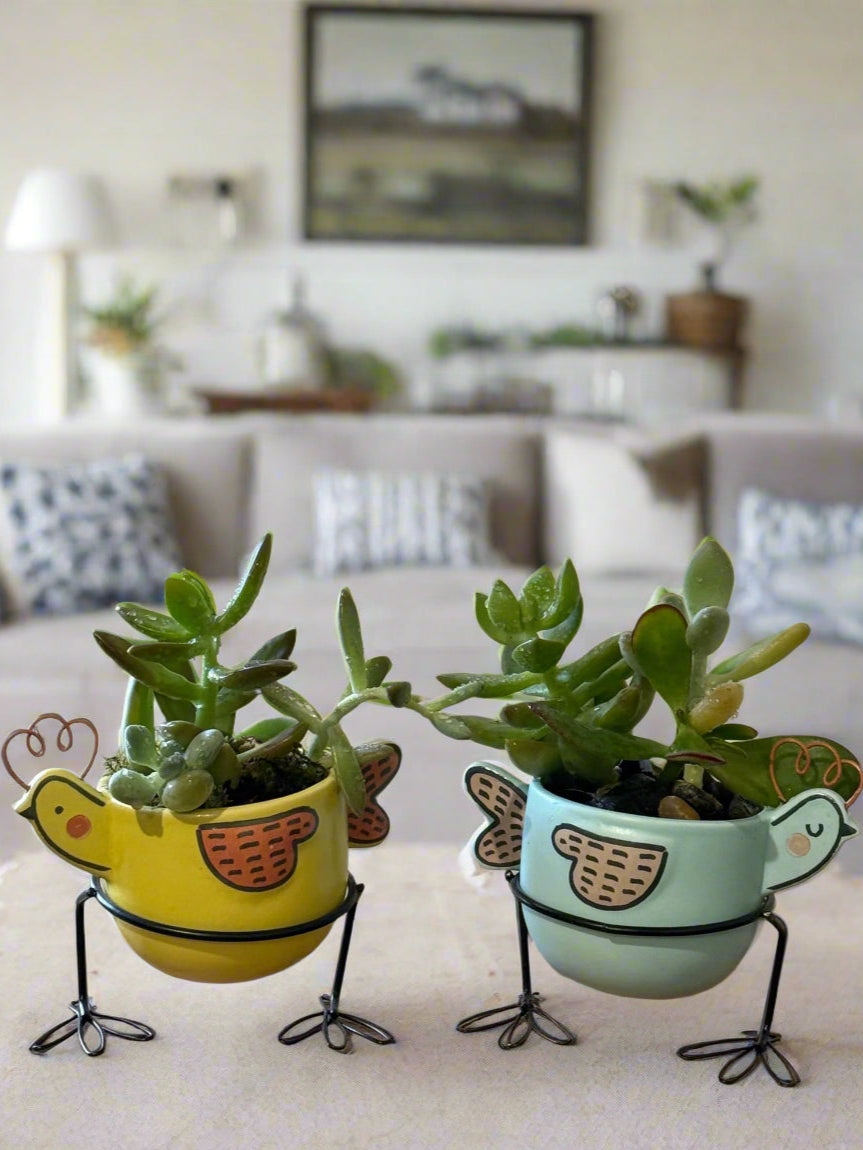 Two small potted plants in colorful, bird-shaped pots