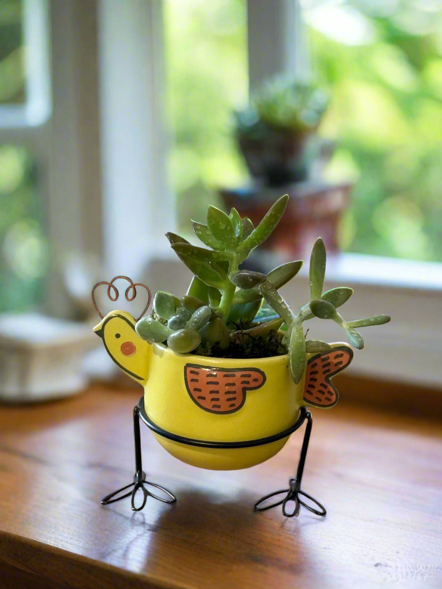 Yellow bird shaped planter with mini succulents