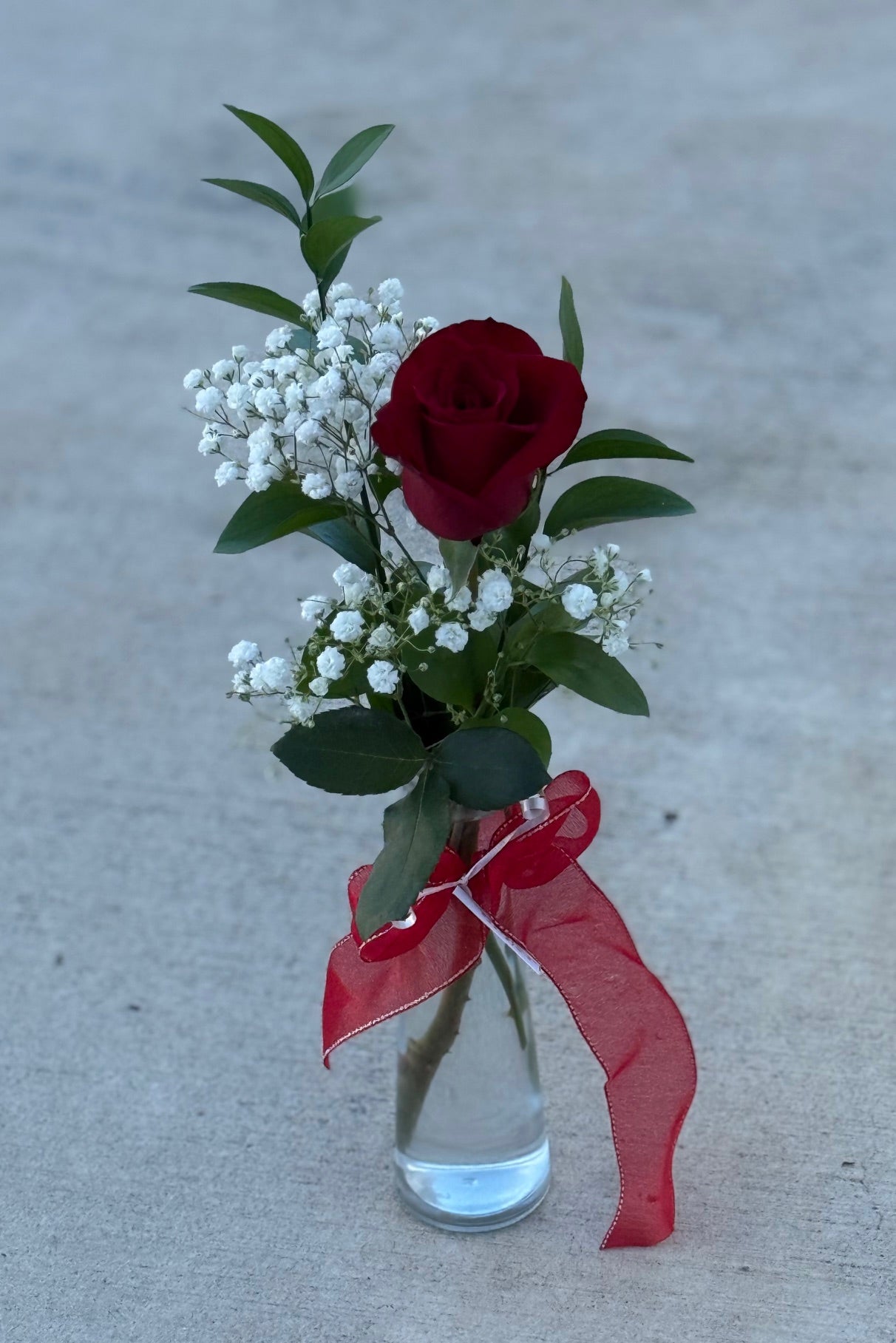 LOVE IS KIND | Single Red Rose