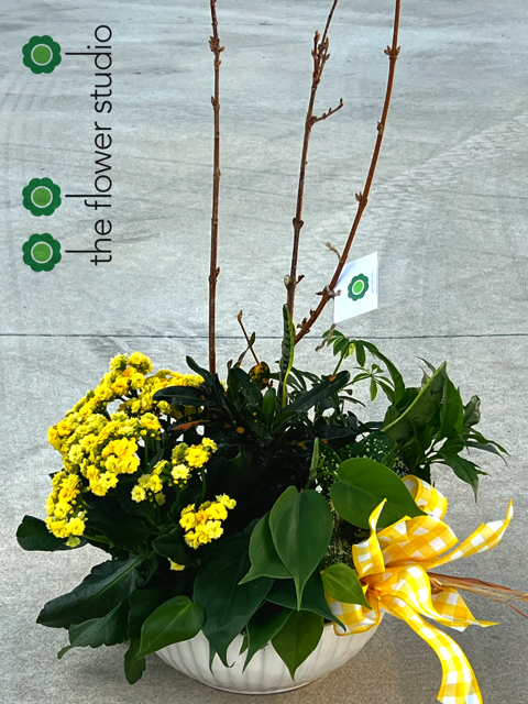 European Garden Planter