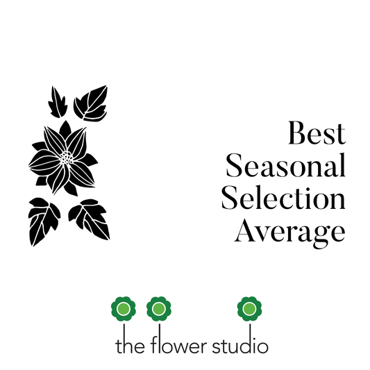 Best Seasonal - Average