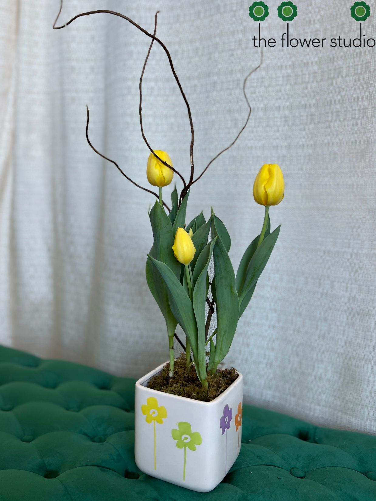 Spring Blooming Plant