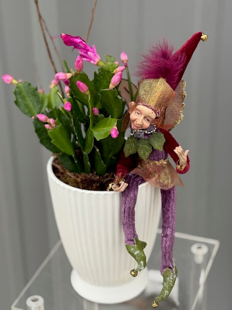 Christmas Cactus By The Flower Studio Oxford