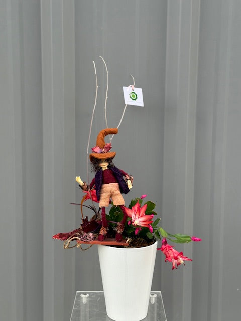 Christmas Cactus By The Flower Studio Oxford