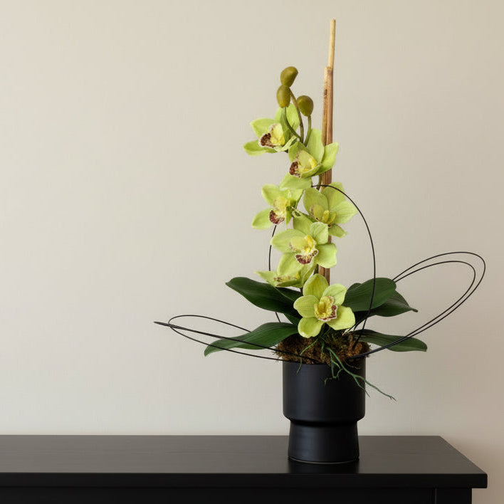 Modern Zen Orchid