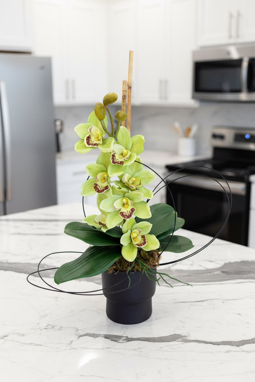 Modern Zen Orchid