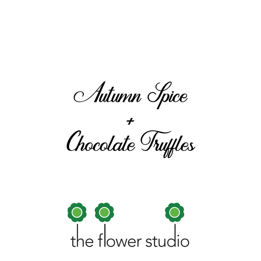 Autumn Spice + Chocolate Truffles