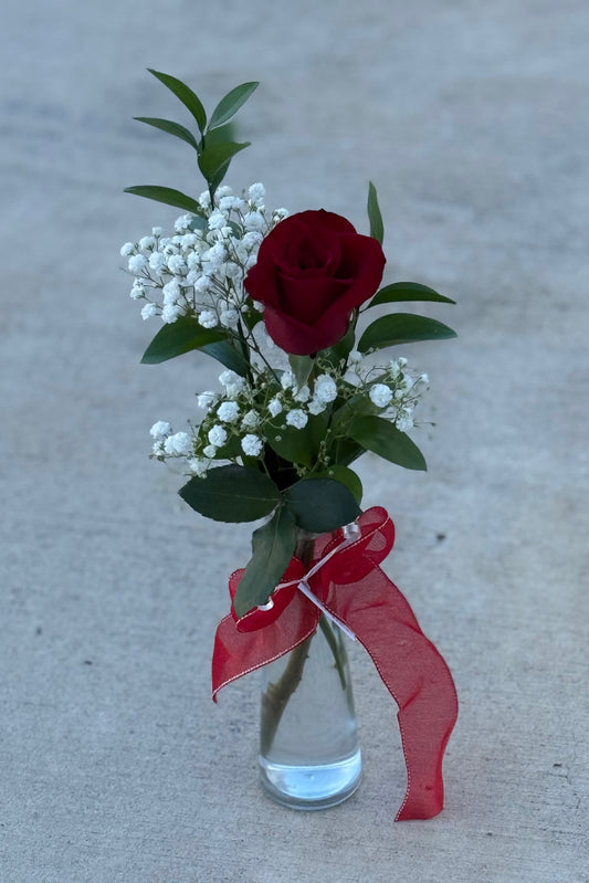 LOVE IS KIND | Single Red Rose