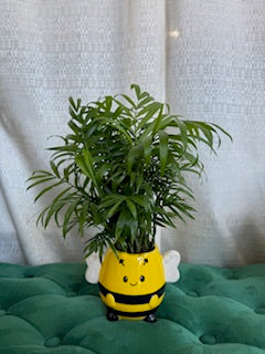 Buzz | Planter