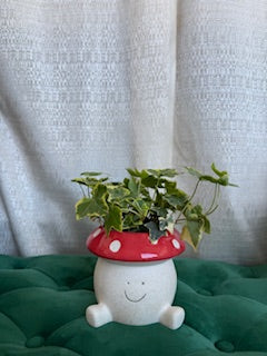 Shroom | Planter