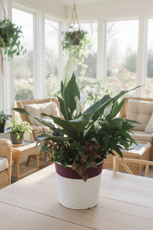 Potted dish garden plants on a container.
