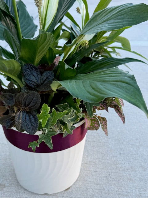 Dish Garden
