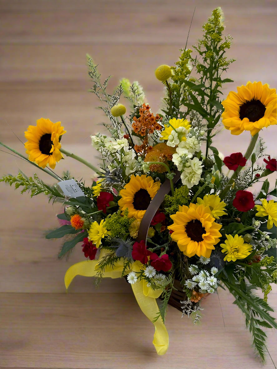 Bloom + Fall